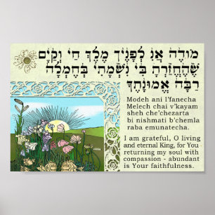 Póster Ani de Modeh - despertar la meditación