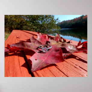 Póster Anillo de compromiso en una hoja de otoño