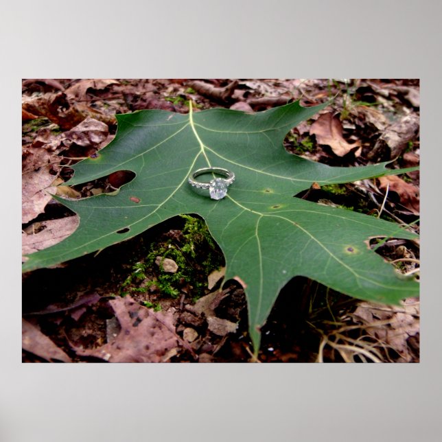 Póster Anillo de compromiso sobre una hoja de roble verde (Frente)