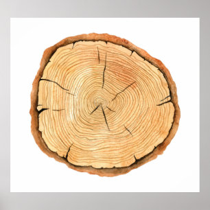 Póster Anillos de la Naturaleza: Triunfo de la textura de