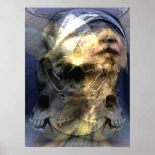 Póster Animages 2