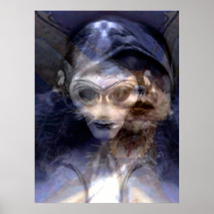 Póster Animages 3