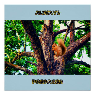 Póster Animal Ardilla