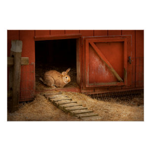 Póster Animal - Conejo - Haciendo huevos para Pascua