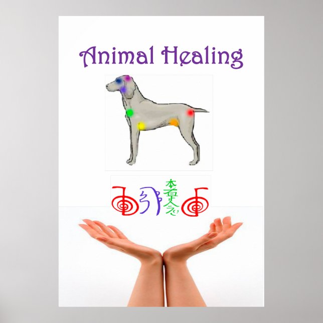 Póster Animal Healing (Frente)