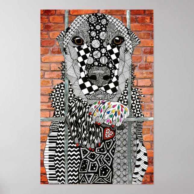 Póster Animal Shelter Dog Adoption Canvas (Frente)