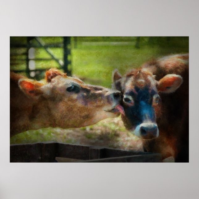 Póster Animal - Vaca - Deja que mamá limpie eso (Frente)