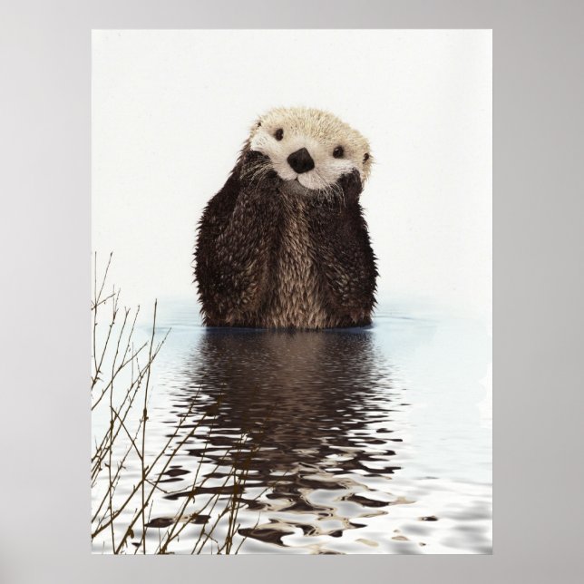 Póster Animales adorables y esponjosos (Frente)