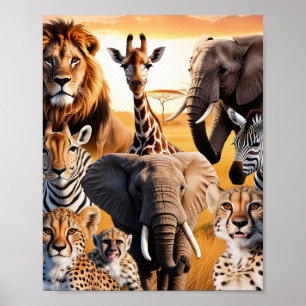 Póster Animales africanos