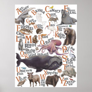Póster Animales alfabetos