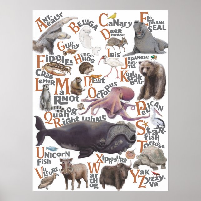 Póster Animales alfabetos (Frente)
