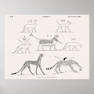 Póster Animales copiados de los cuadros originales