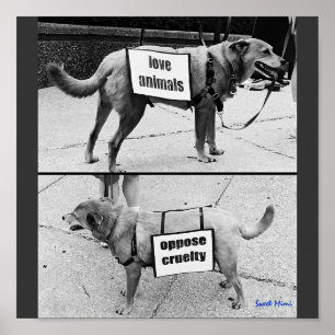 Póster Animales de amor