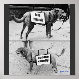 Póster Animales de amor