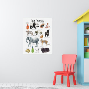 Póster Animales de Asia   Aula de enseñanza