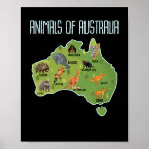 Póster Animales De Australia
