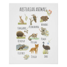 Animales de Australia