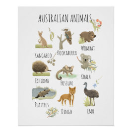 Póster Animales de Australia