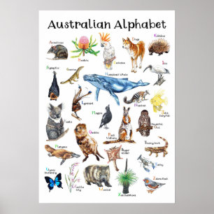Póster Animales de Australia