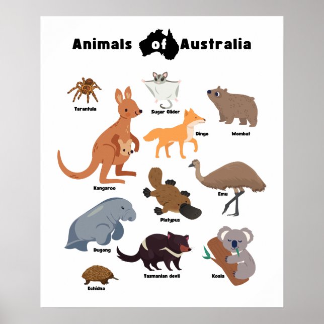 Póster Animales de Australia Aussie Wildlife (Frente)