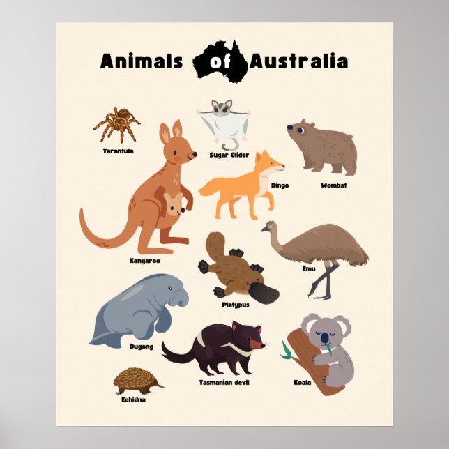 Póster Animales de Australia Aussie Wildlife (Frente)