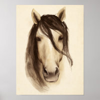 Animales de barras acuáticas | Caballo