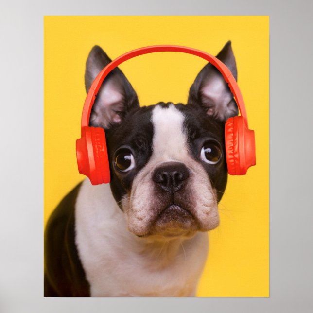 Póster Animales de bebé más afectados | Auriculares de Bo (Frente)