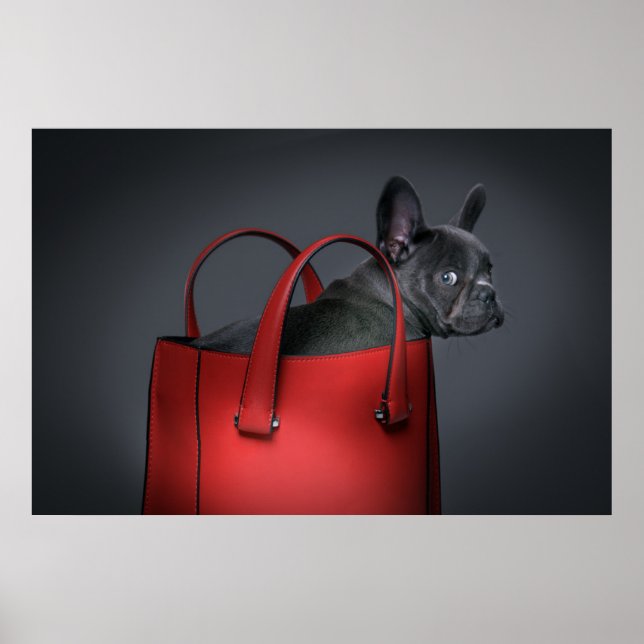 Póster Animales de bebé más afectados | Bolsa de mano roj (Frente)