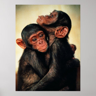 Póster Animales de bebé más afectados   Chimpanzee Hug