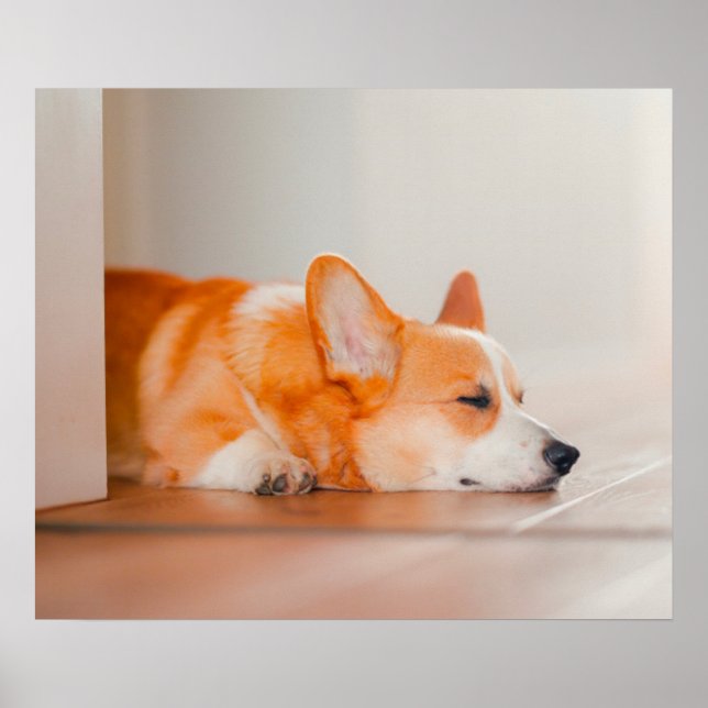 Póster Animales de bebé más afectados | Corgi Sleeping (Frente)