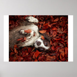 Póster Animales de bebé más afectados Español en hojas