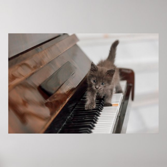 Póster Animales de bebé más afectados | Gatito en piano (Frente)