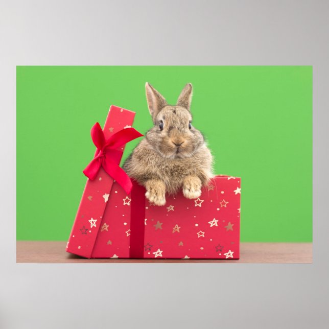 Póster Animales de bebé más afectados | Navidades Holiday (Frente)