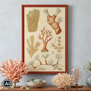 Póster Animales de coral vintage, libro de texto de biolo