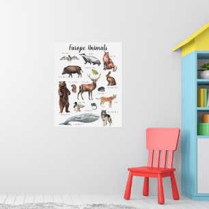 Póster Animales de Europa   Aula de enseñanza