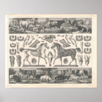Animales de granja imprimen cerdos de caballos de 