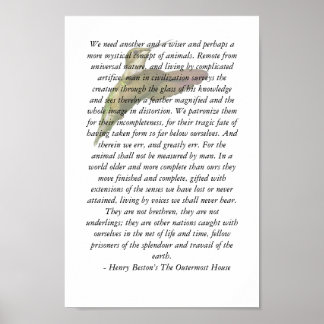 Póster Animales de la casa ultraperiférica