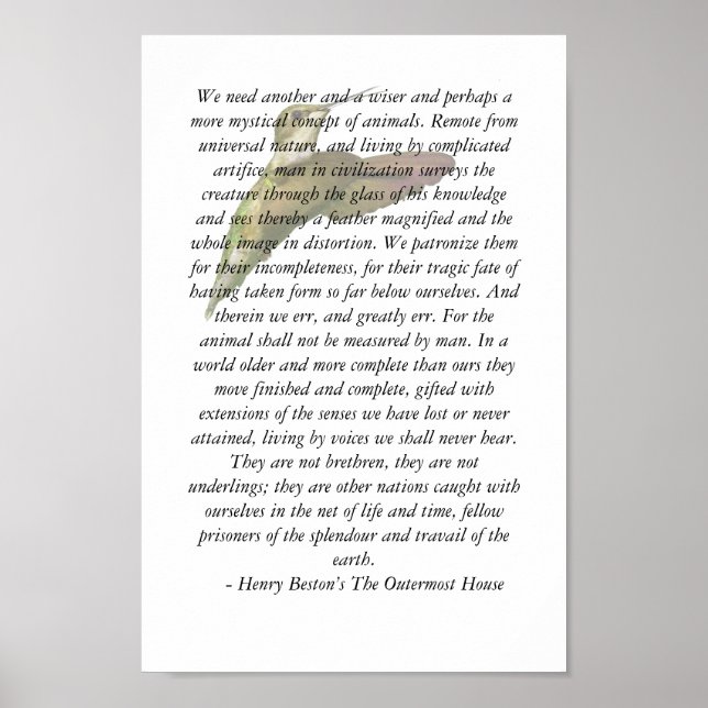 Póster Animales de la casa ultraperiférica (Frente)