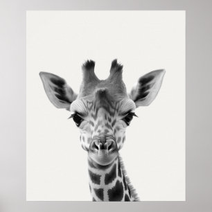 Póster Animales de la Jungla Africana Safari Bebe Jirafa
