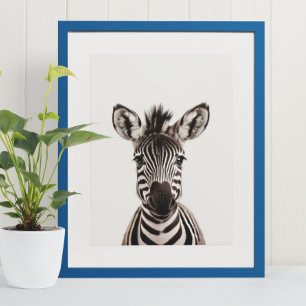 Póster Animales de la Jungla Africana Safari de Bebé Cebr