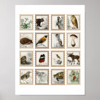 Animales de Woodland Moose Birds Acentos de Diario