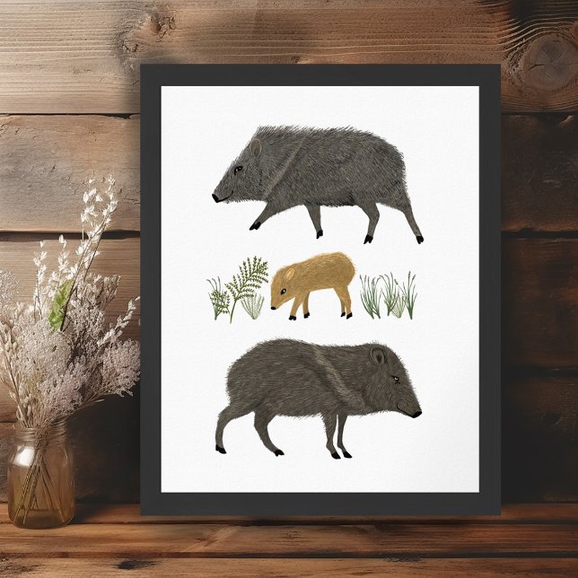 Póster Animales del desierto de la familia Javelina (Javelina Family Portrait Desert Animals Poster Wall Art Illustration)