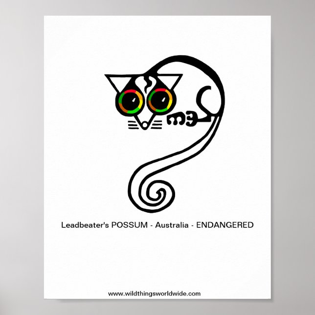 Póster Animales en peligro de extinción - POSSUM de Leadb (Frente)