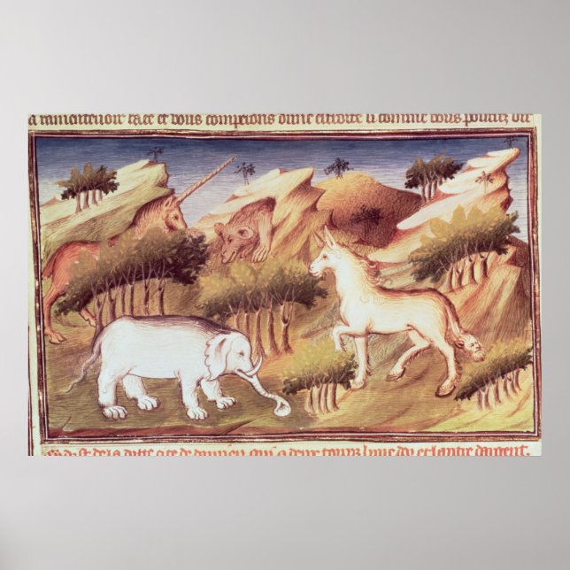 Póster Animales míticos en el desierto (Frente)
