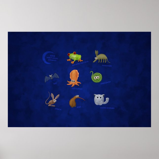 Póster Animales Nocturnos (Frente)