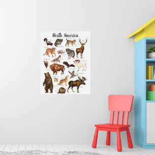 Póster Animales norteamericanos   Aulas de enseñanza
