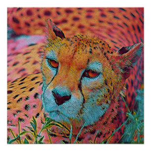 Póster Animales populares - Chita