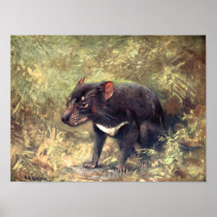 Póster Animales Salvajes Antiguos, Diablo de Tasmania por