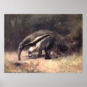 Póster Animales Salvajes Antiguos, Oso Hormiguero Gigante