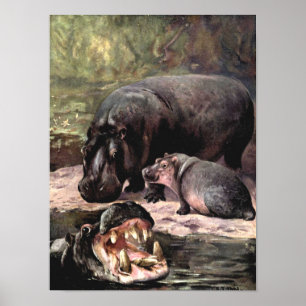 Póster Animales salvajes de época, hipopótamo por cisne C